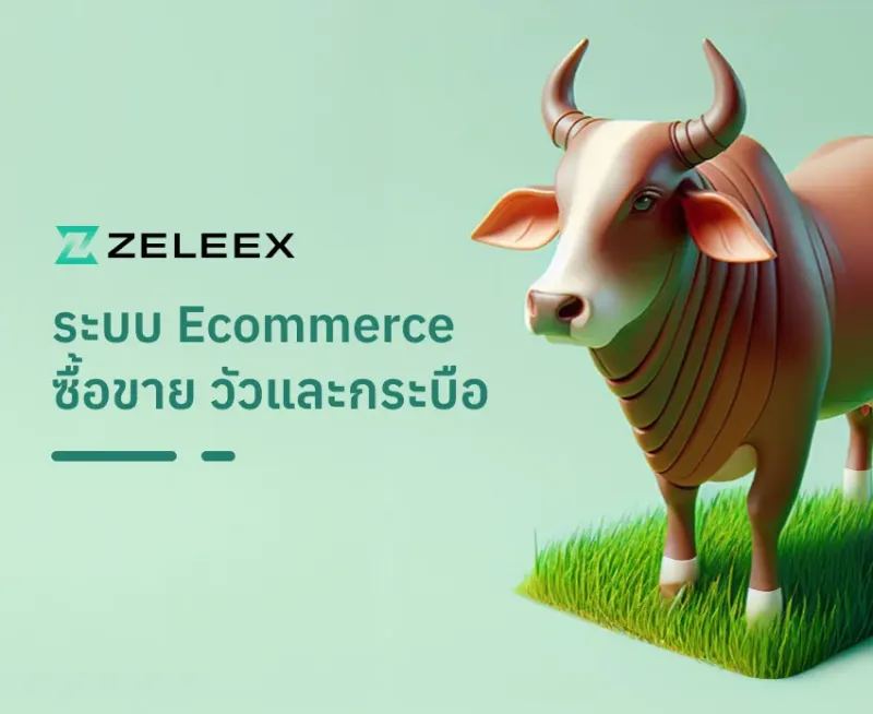 เว็บไซต์ Zeleex - ผลงาน Compattana